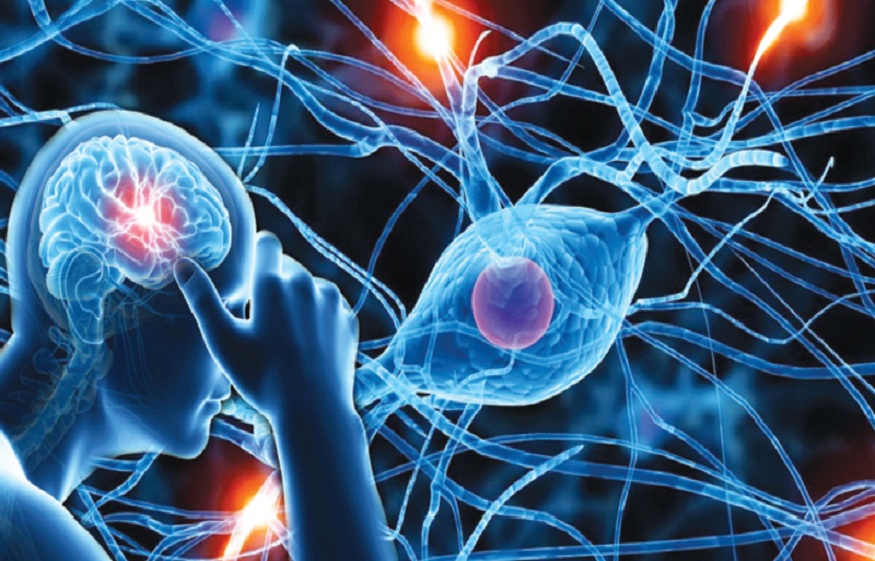 Brain Disorders