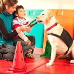 Animal Assisted Therapy: Psychologists’ Involvement